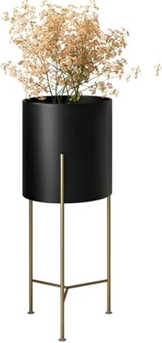 Apaeoflv^[X^h t[X^h t[bN 2i ACA hTr h ϗtA 30KGω׏d ԒI ԑ uX^h gݗĂȒP (PwS,ubN)