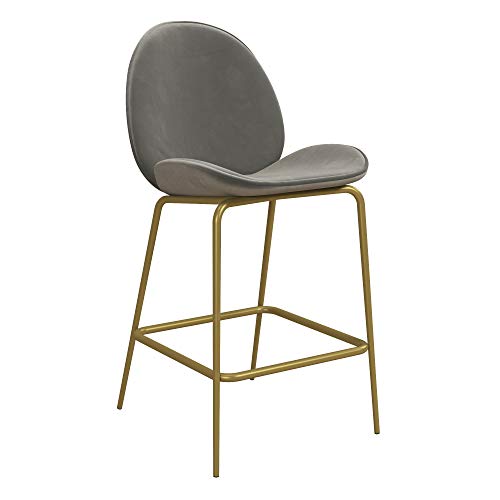 Cosmoliving By Cosmopolitan Astor Upholstered Counter Stool Grey Velvet With Brass Metal Leg, Light Gray #TOP1
