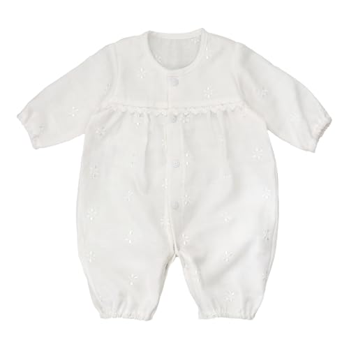 [Ԃ̏] ylbgz ȍdpi c[EFCI[ Nhbv 45 {