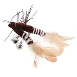 Happyyami 2pièces Teaser De Remplacement pour Chat avec Tête Insecte Et Plumes Jouet Interactif pour Chaton Accessoire Exercice Amusant Et Sûr