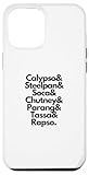 Photo Gallery custodia per iphone 12 pro max calypso steelpan soca chutney parang tassa rapso trinidad Photo Gallery custodia per iphone 12 pro max calypso steelpan soca chutney parang tassa rapso trinidad