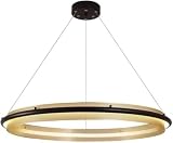 LYOUAE Modern Hängeleuchte Moderner, minimalistischer Ring-Kronleuchter, runde LED-Hängelampe aus Acryl, höhenverstellbare Decken-Pendelleuchte(Warm light,80cm/31.5in)