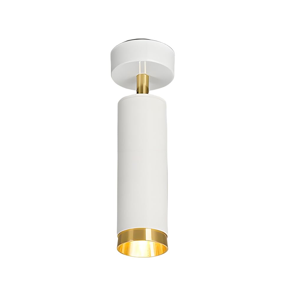 BHGFYXBS Metal Ceiling Spotlight Adjustable Spotlight Directional Spot Lights, Indoor Bright Accent Fixture Ceiling Light Fixtures For Hallway Porch, Gu10 Hardwired Modern Nordic,White-20cm