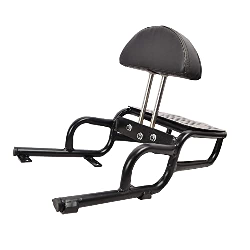 Image of Sterling Harley Style Adjustable Cushion Backrest with Carrier, Pillion Cushion Support Compatible for Bike Enfield Thunderbird 350,500,350x,500x 2022 | Motor Bike | Aluminium | Black
