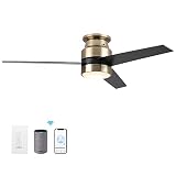 Carro Low Profile Smart Ceiling Fan with Light, Work With Alexa/Google Home/Siri|Reversible Motor|Sc