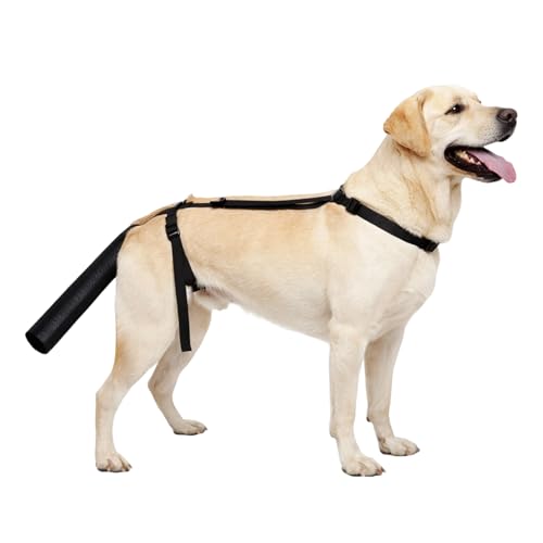 Ujukoxc Dog Tail Protector Happy Tail Protector for Dogs Oxford Fabric Tail Guard for Medium to Large Dogs Adjustable Protection for Post-Injury Recovery and Outdoor Activities