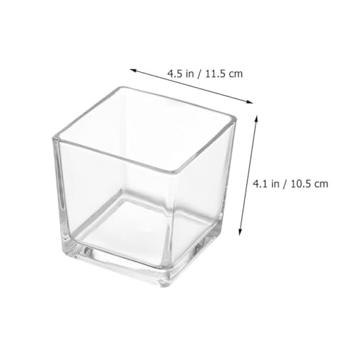 Vase transparent pour branches et succulentes décor de table moderne - 8