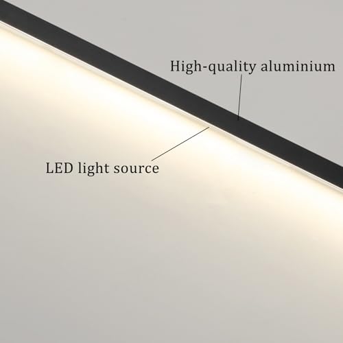 Lampe murale extérieure IP65 étanche télécommandée noire