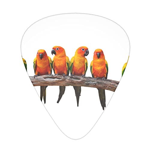Perroquets jaunes colorés sur branche médiators de guitare ensemble de 12 pièces pour guitare acoustique, guitare… - Les Beatles, Paul McCartney, John Lennon, RIngo Starr, George Harrison Perroquets jaunes colorés sur branche médiators de guitare ensemble de 12 pièces pour guitare acoustique, guitare…
