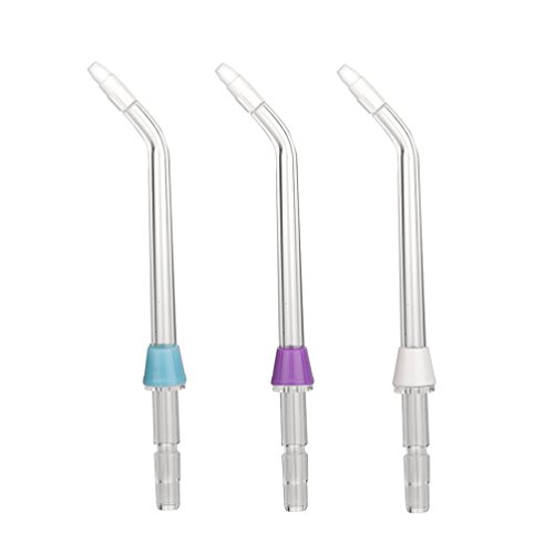 Dentive Water Flosser (OT Tips)