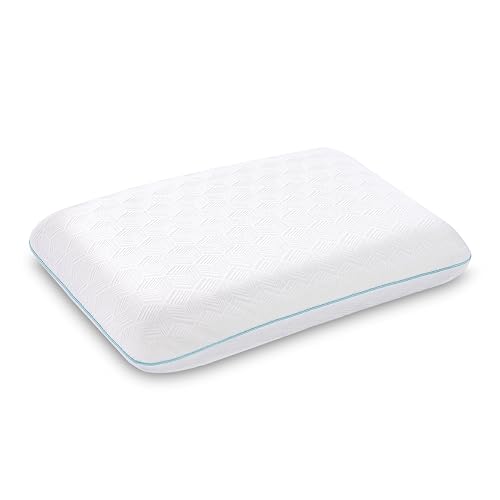 EGOHOME Memory Foam Pillow for Sleeping Queen Size, Medium Soft Bed Pillow with Washable Removable Cover for Back, Stomach,Side Sleepers White 16
