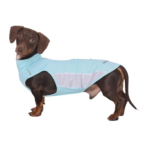 WienieDay Dachshund Dog Cooling Vest, Breathable Summer Dog Cooling &