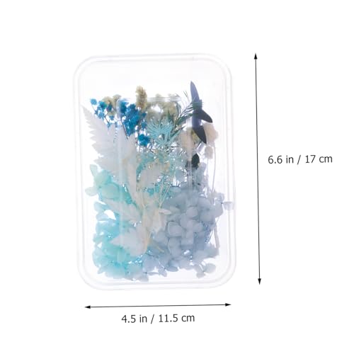Kit de flores secas para manualidades y decoración miniatura 2