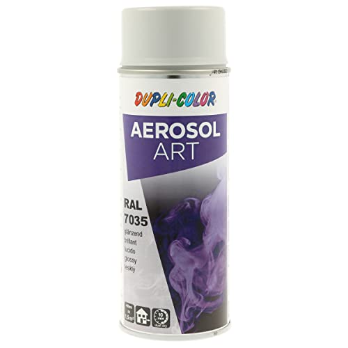 Duplicolor 655821 Peinture Aérosol Art Ra l 9010 Satin, 400 ml light grey