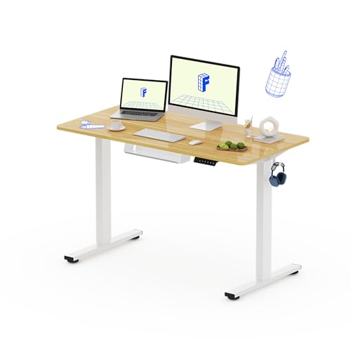 FLEXISPOT Escritorio Elevable Escritorio de Elevable Eléctrico con Tablero Entero 120x60cm, Standing Desk Escritorio Regulable en Altura, Mesa de Elevable con Ganchos Estante y 4 Botones de Memoria