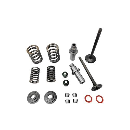 Kit de válvulas de admisión y escape para eliminar humo azul y pérdida en CRF80F