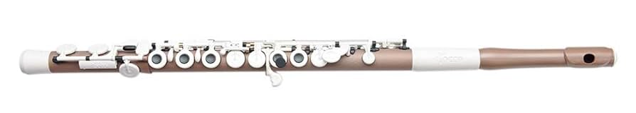 Amazon | TOCCO(トッコ) 樹脂製フルート チョコレート TOCCO-FC