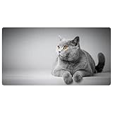 Lavable en machine : les tapis de cuisine et les tapis sont faciles d'entretien, utilisez un aspirateur à main pour enlever la poussière de surface ou utilisez un lavage en machine à l'eau froide pour un nettoyage en profondeur.