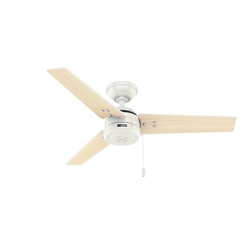 Image of Hunter Cassius, Outdoor or Indoor, Ceiling Fan, 44 inch, Fresh White