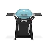 Weber Q 2800N+ Liquid Propane Grill with Stand, Sky Blue