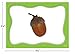 Teacher Created Resources Alphabet Pocket Chart Cards (TCR20852)