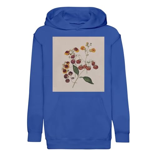 Sweat à capuche enfant illustration botanique fleurs exotiques en coton premium