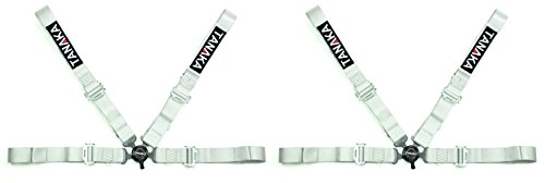 Tanaka Racing Style 4 point Harness For Powersports - PAIR (Gray)
