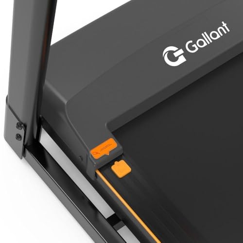 Esteira Ergométrica Elétrica Gallant Elite 2.5hp 14km/h 120kg 127v (GEE12)