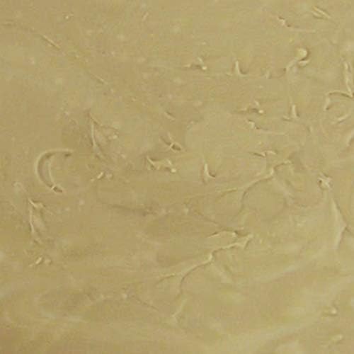Home Made Creamy Maple Fudge - 1 Lb Box - 2