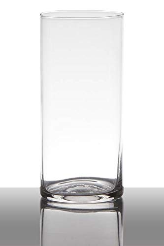 INNA-Glas Jarrón Sansa, cilíndrico/Redondo, Transparente, 19cm, Ø9cm - Florero Moderno - Recipiente de Cristal Decorativo