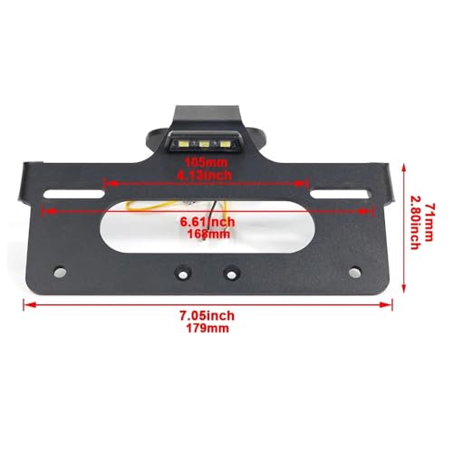 Support plaque Triumph Tiger 660 pour balades et sorties