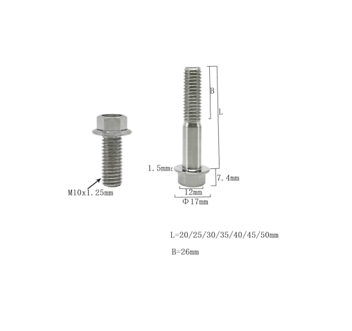 Image of Rison Titanium Bolts Flanged Hex Head Bolt M10x1.25x35mm 6AL4V Aerospace Grade Ti Bolt Original Color Titanium Screw for Motorcycle Car Modification Pack of 5