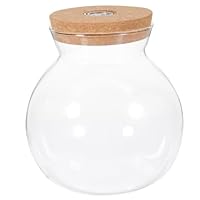 UKCOCO Glasflasche Landschaftsflasche Durchsichtiger Behälter Kleiner Vorratsbehälter Pilzbehälter Led-ngläser Mit Korkdeckel Mikro-Landschaftsvase Aquarium Landschaftsflasche