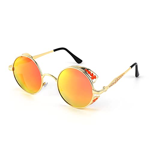 FEISEDY Retro Steampunk Polarized Sunglasses for Men Women, Round Metal Frame Gothic Vintage Style B2820