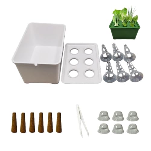 Klivex ƒ͔|p̐k͔|Alȓ̐k͔|eA̖Qk͔|yŖ؂͔|Iz/ʕ/n[u/ԂȂ /Op ŷȂ|{{bNX lGKp ƒ؉ (zCg AbvO[h,2) [sAi]