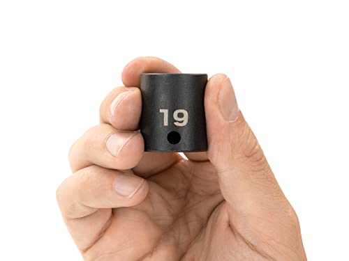 Image of TEKTON 3 /8 Inch Drive x 19 mm Shallow 12-Point Impact Socket | SID12319