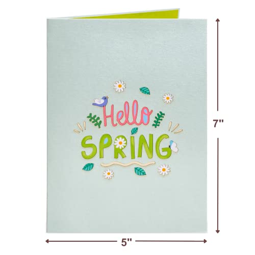 Paper Love Hello Spring Pop Up Card, For All Occasions, Birthday, Thank You, Get Well Or Just Because - 5" X 7" Cover - Includes Envelope And Note Tag #TOP1