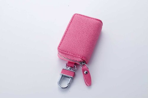 I[TWp(AWESOME-JAPAN) X}[gL[P[X }`J[^Cv CgsN ASK-008