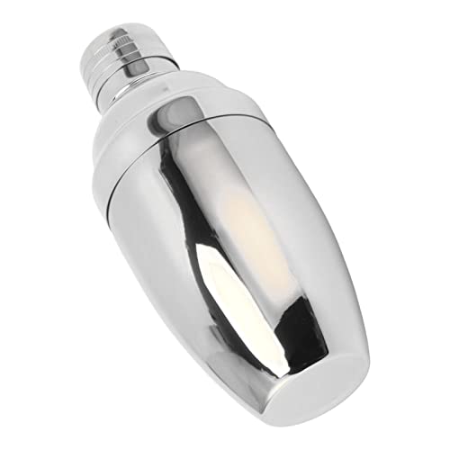 Shaker à cocktail professionnel en acier inoxydable 304 argenté