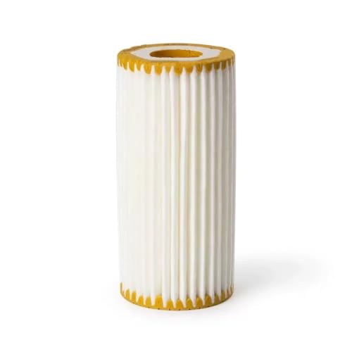 Filtro de aceite para cambio de mantenimiento Macan 2.0T, 10 unidades
