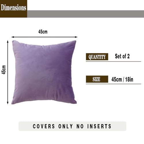 Home Page - Paul - Cosy Home Interiors