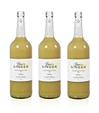 Ben's GINGER: Bio Ingwerkonzentrat 1000ml | von Hand gepresst, mit Liebe aus München | täglicher Booster, Ingwer Shot für Tee, Cocktails, Gerichte (3)