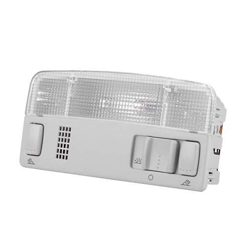 Luz de lectura de techo 1TD947105 para Passat y Jetta 5