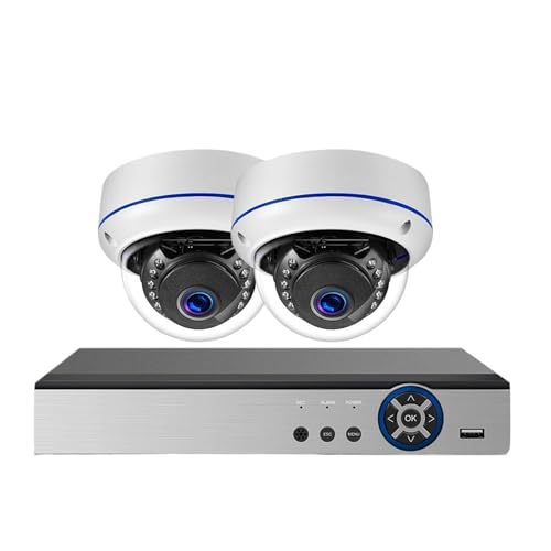 8MP POE lbg[NĎh[ IP JVXe 4K 10CH NVR Lbg Oh ^ CCTV lbg[N ZLeB VXe j^[ŊȒPɃZbgAbvƃCXg[\(10CH NVR 2Pcs Camera)