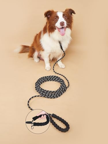 Schleppleine, 5M 10M 20M Schleppleine für Hunde, Robust Hundeleine mit bequemem gepolstertem Griff, Trainingsleine Laufleine für Welpen kleine mittlere große Hunde, Abschließbarer Karabiner (10M)