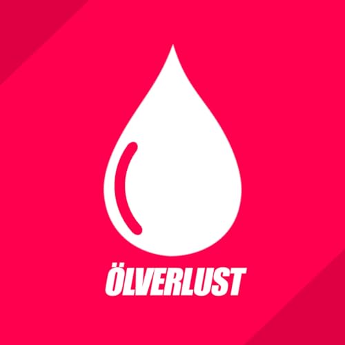 #4 Nissan baut wieder alte Skylines, Nissans Absturz, Kein GTR mehr? Formel 1 Auftakt uvm.