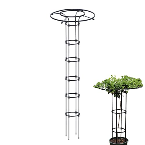 210cm Garten Rankhilfe Metall Ranksäule Für Kletterpflanzen...