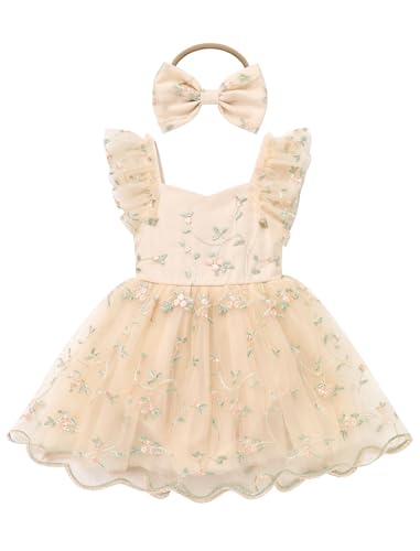 Kids Girls Birthday Party Dress Cake Crush Mesh Embroidered Floral Ruffle Tulle Tutu Romper Dress