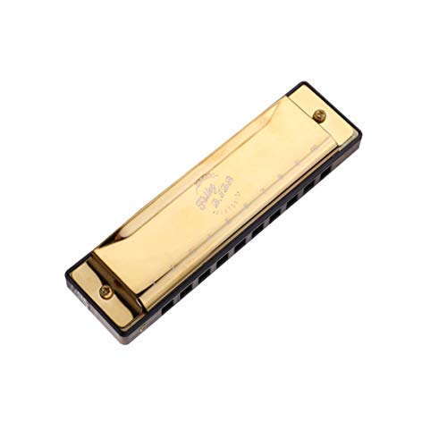 FARUTA Harmonica professionnel 10 trous Blues Harmonica bouche Orgue pour débutants adultes enfants Cadeau noir (couleur… - Les Beatles, Paul McCartney, John Lennon, RIngo Starr, George Harrison FARUTA Harmonica professionnel 10 trous Blues Harmonica bouche Orgue pour débutants adultes enfants Cadeau noir (couleur… – Image 3