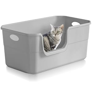 Lighterday Katzenklo Hoher Rand 50 x 35 x 22cm,Katzentoilette Groß, Katzenklo XXL Ohne Deckel Katzenklo Groß Katzentoiletten für Katze, Kaninchen,Kätzchen (Gray 50×35×22CM)